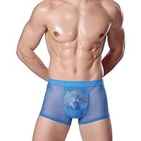 Algopix Similar Product 20 - ADAHOP Half Transparent Briefs Ice Silk