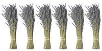 Algopix Similar Product 5 - Findlavender  Lavender Dried Premium