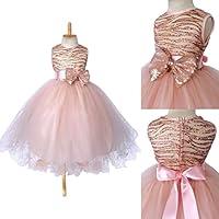 Algopix Similar Product 15 - Rose Gold Glitter Striped Mesh 2 Layer