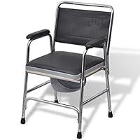 Algopix Similar Product 16 - vidaXL Commode Chair Steel Black