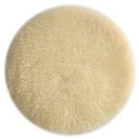 Algopix Similar Product 19 - PORTERCABLE Polishing Pad Lambs Wool