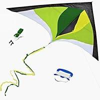 Algopix Similar Product 5 - Best Delta Kite Easy Fly for Kids and
