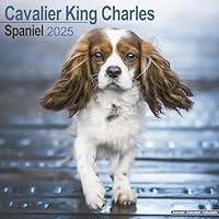 Algopix Similar Product 18 - Cavalier King Charles Calendar 2025 