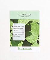 Algopix Similar Product 10 - Shop Succulents Catnip Seeds Pack of