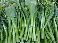 Algopix Similar Product 14 - Asian Heirloom Yu Choi Edible Rape by