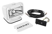 Algopix Similar Product 19 - Golight Radioray GL2020 Remote Control