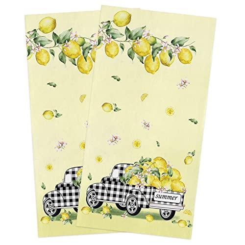 Kitchen Towels 16x 28 | Dish Towels | Kitchen Hand Towels | Large  Dishcloths Set | Highly Absorbent Tea Towel with Hanging Loop | Natural  Ring Spun
