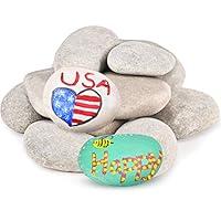 Algopix Similar Product 18 - MEKOUZON 22PCS River Rocks for