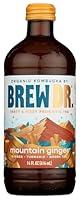 Algopix Similar Product 9 - BREW DR Ginger Turmeric Kombucha, 14 FZ
