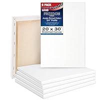 Algopix Similar Product 7 - US Art Supply 20 x 30 inch Stretched