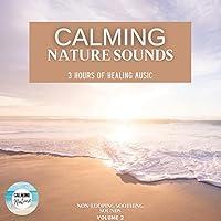 Algopix Similar Product 5 - Calming Nature Sounds 3 Hours of