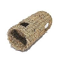 Algopix Similar Product 12 - Rosewood Boredom Breaker Small Animal