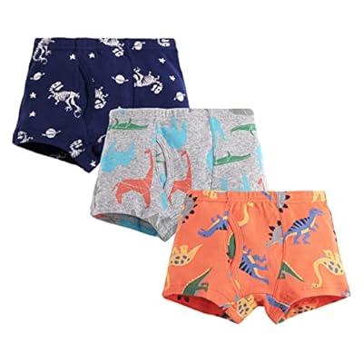 Boys Underwear,Toddler Briefs Shorts 3 Pack Cotton Dinosaur Boys