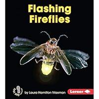 Algopix Similar Product 9 - Flashing Fireflies First Step