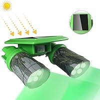 Algopix Similar Product 17 - TRAIL WATCHER Solar Deer Feeder Light