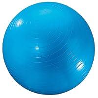 Algopix Similar Product 9 - Dick Martin Sports Exercise Ball 24