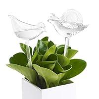 Algopix Similar Product 5 - Plant Watering Bulbs 2 Pack Glass