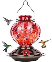 Algopix Similar Product 2 - BOLITE 24001 Glass Hummingbird Feeder