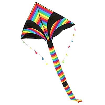 Best Deal for Kites Long Tail Rainbow Kite with Kite String and
