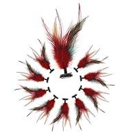 Algopix Similar Product 8 - Sosoport 10pcs ChickenPlume