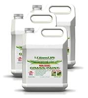 Algopix Similar Product 7 - LawnLift Ultra Concentrated Green