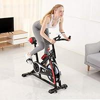 Algopix Similar Product 18 - FEFCK Exercise Spinning Bike Indoor