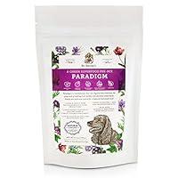 Algopix Similar Product 8 - Dr Harveys Paradigm Green Superfood