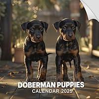 Algopix Similar Product 16 - Doberman Puppies Calendar 2025 365