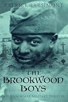 Algopix Similar Product 13 - The Brookwood Boys A paranormal