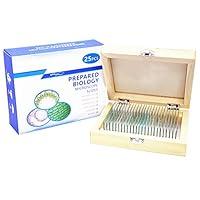 Algopix Similar Product 17 - 25 Prepared Microscope Slides for Kids