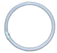 Algopix Similar Product 12 - Falcon Eyes 40 W Ring Lamp for RFL-3