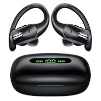 Algopix Similar Product 10 - Wireless Earbuds Bluetooth Headphones