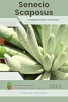 Algopix Similar Product 2 - Senecio Scaposus Succulent Handbook