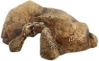 Algopix Similar Product 1 - Exo Terra Reptile Cave - Large