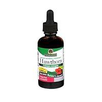 Algopix Similar Product 4 - Natures Answer Hawthorn Berry Leaf