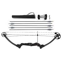 Algopix Similar Product 17 - Genesis Original Bow Archery SetRight