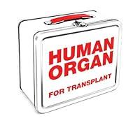 Algopix Similar Product 14 - Aquarius Human Organ Large Tin Fun Box