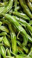 Algopix Similar Product 20 - Fresh Shishito Chili Peppers 1 lb.