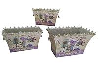 Algopix Similar Product 14 - French Country planters Vintage Painted