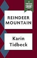 Algopix Similar Product 1 - Reindeer Mountain A Story Kindle