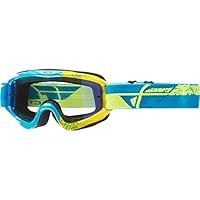 Algopix Similar Product 16 - Fly Racing Youth Zone Composite Goggle
