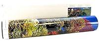 Algopix Similar Product 9 - Coral Background Double Sided, 19" x 50"