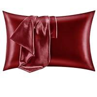 Algopix Similar Product 7 - CozyLux Silk Satin Pillowcase for Hair