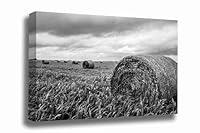 Algopix Similar Product 3 - Country Canvas Wall Art Ready to Hang