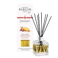 Algopix Similar Product 1 - MAISON BERGER Orange Cinnamon Reed