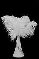 Algopix Similar Product 18 - Moonlight Feather  12 Lb  913 Off