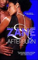 Algopix Similar Product 20 - Afterburn: A Novel