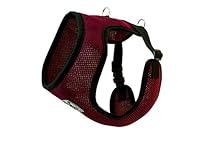 Algopix Similar Product 8 - RC Pet Products Cirque Soft Walking Dog