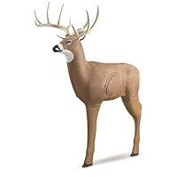 Algopix Similar Product 12 - Shooter Buck 3D Deer Archery Target