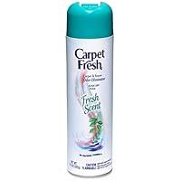 Algopix Similar Product 12 - Carpet Fresh QuickDry Foam Fresh